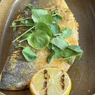 Branzino