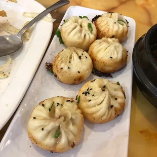 Crispy Bottom Dumplings