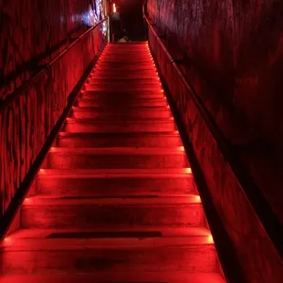 The stairway to heaven: Entrance to the One-Eyed Penguin.