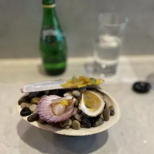 oysters, food, shellfish, oysters and mussels, mussels