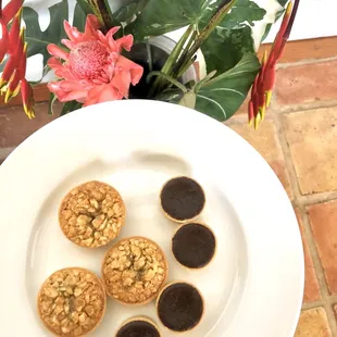 Two flavors of tarts: macadamia nut and chocolate lilikoi