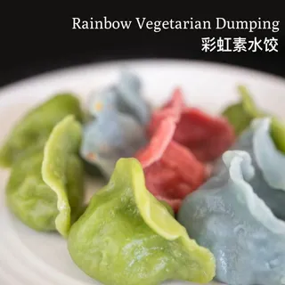Rainbow Vegetarian Dumping(8)
