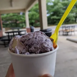 Blueberry cheesecake with BIG chunks! Yum!