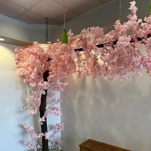 Cherry Blossom tree
