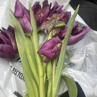 Dead flowers