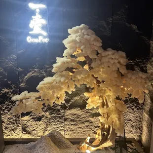 ramen and noodles, outside