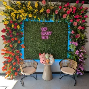 Backdrop for photos