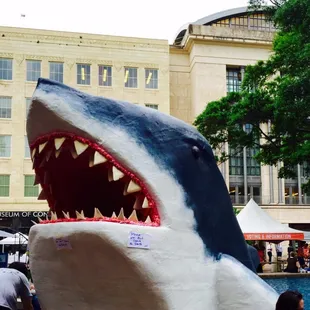 Oops! The great white unmoored.