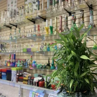 Glass bong with great quality