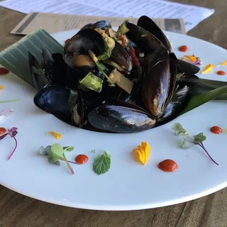 Drunken Mussel
