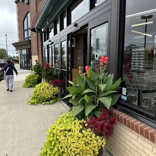 ramen and noodles, outside