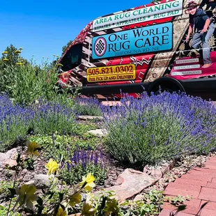 One World Rug Care. &quot;Best Rug Cleaner Near Me&quot;