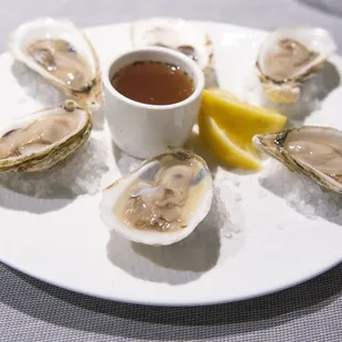 oysters
