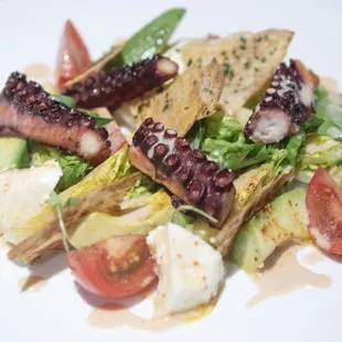octopus salad