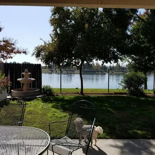 Backyard with a view!