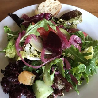 Garden Lettuces Salad