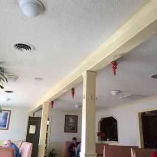 Rare Chinese grapes that miraculously grow from ceiling!