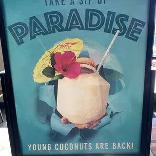 Fresh Young Coconut