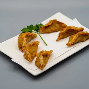 Yaki Gyoza/Fried Chicken Dumplings