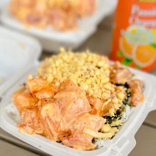 Spicy salmon + ahi tuna