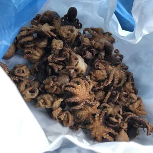 a pile of octopus tentacles