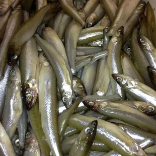 CHARALES OR SMELT FISH