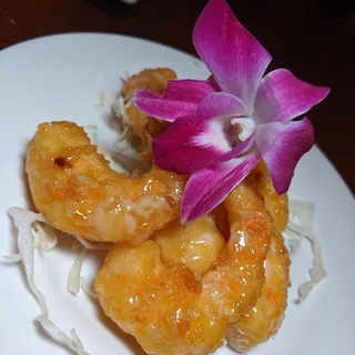 Rock Shrimp