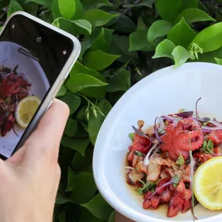 Octopus Salad