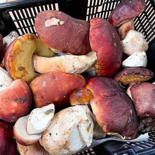 wraps, burritos and wraps, food, burrito