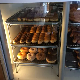 Rows and rows of donuts just waiting to go home with someone