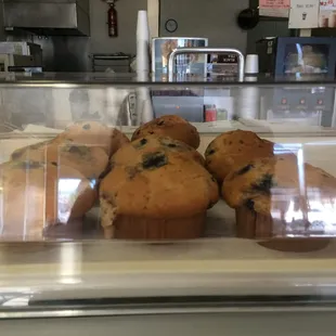 Blueberry muffins