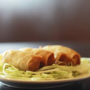 Spring Rolls