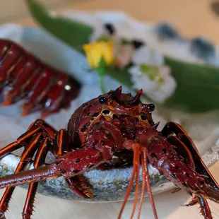 Lobster sashimi