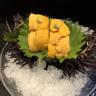Uni Sashimi