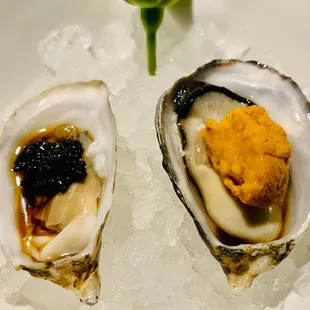 Oyster