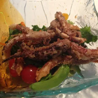 Calamari Salad