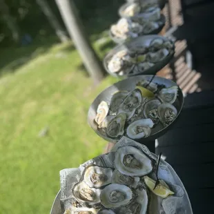 oysters and mussels, interior