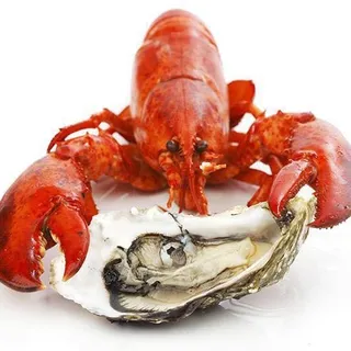 Maine Lobster