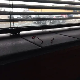 Used cherry stems on our window sill. Classy.