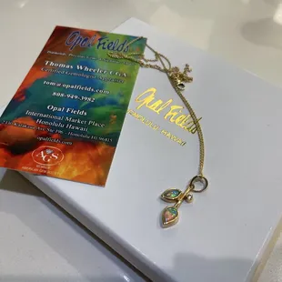 The necklace I got.