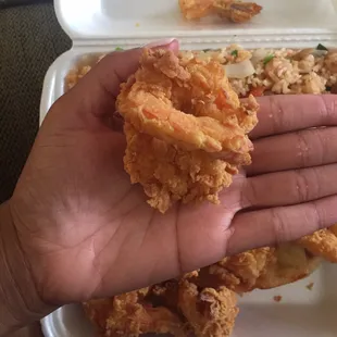 Shrimp are butterflied and then fried, making them look huge