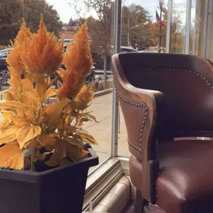 a chair and a coffee cup