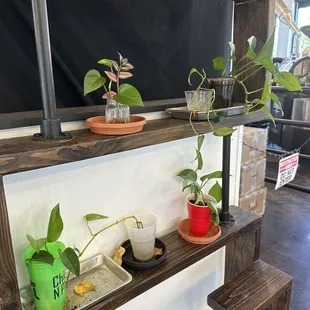 Current propagation offerings - 11/15/23