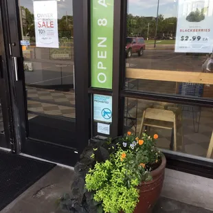 Potted edible flowers greet you at Open Harvest