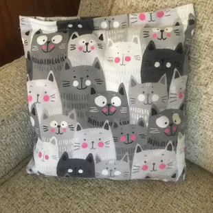 Another catnip pillow.