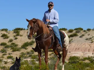 San Francisco Stables