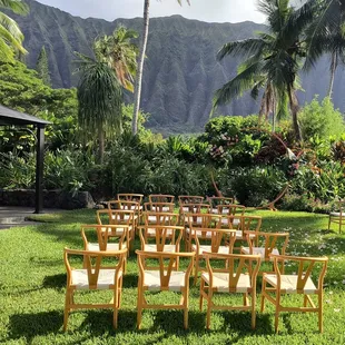 Gorgeous Ko&apos;olau backdrop