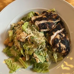 Blackened Chicken Caesar Salad