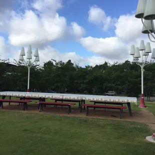 The lovely picnic table, community art north of the Pfluger bridge.