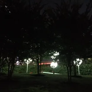 Open Room as seen from the adjacent dog park .